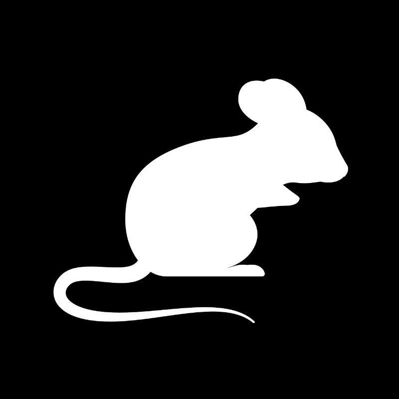 Maus