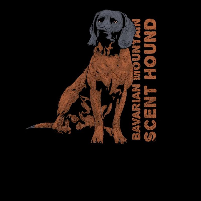 Bavarian mountain hound