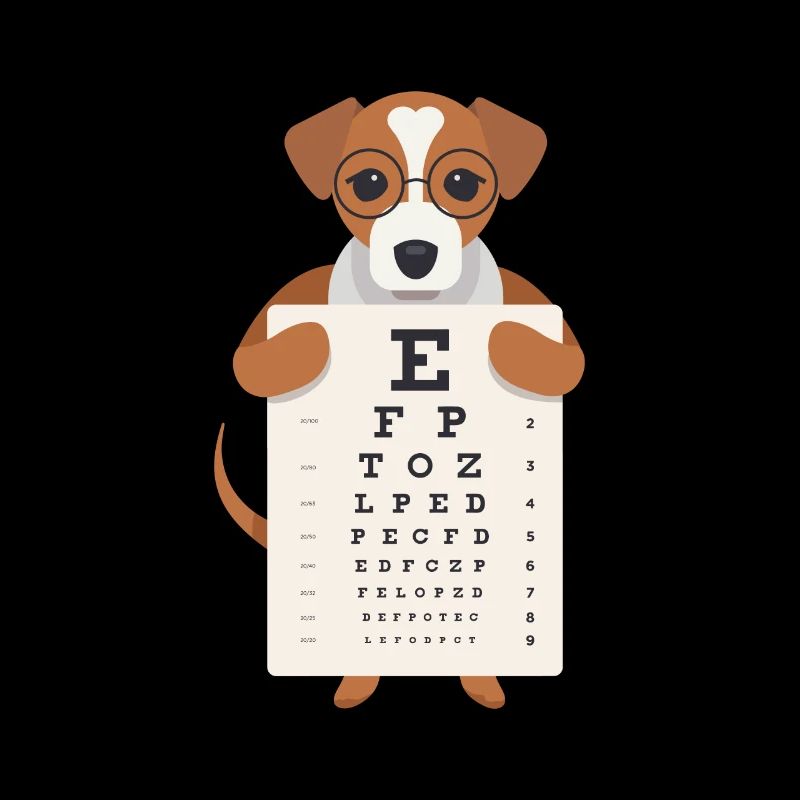 Kinder Sehtest Optiker Brille Buchstaben erkennen