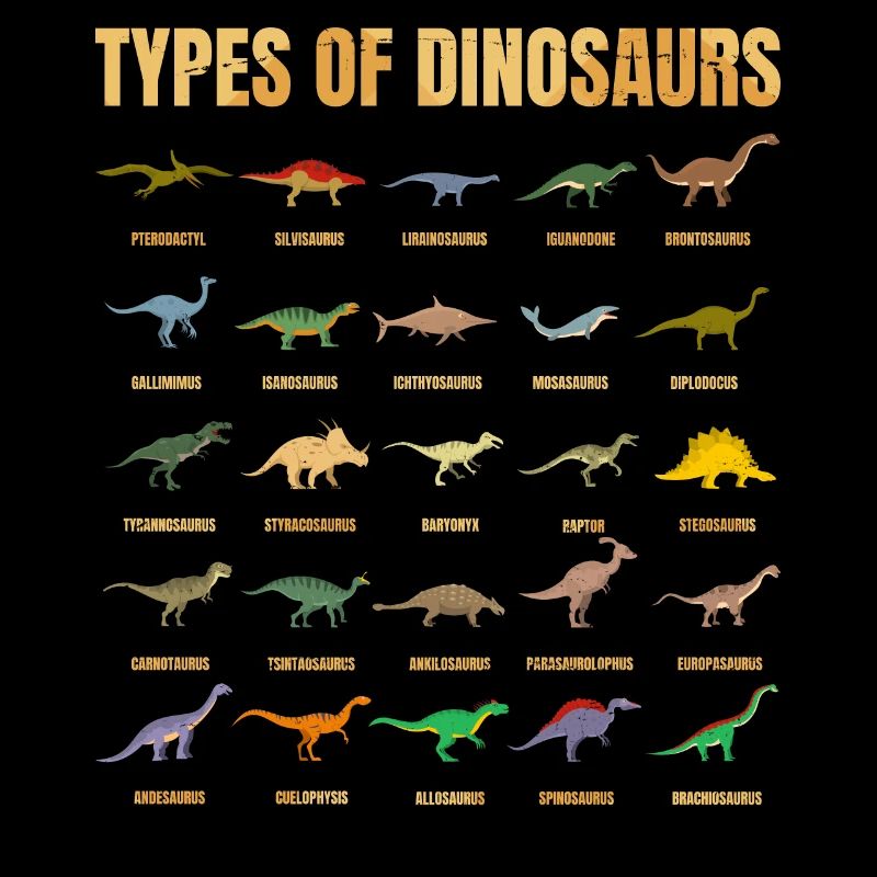 Types Of Dinosaurs Dino Identification - Cute