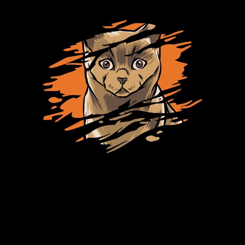 A cat in a torn shirt - Gray Tabby Cat Kitten Pets