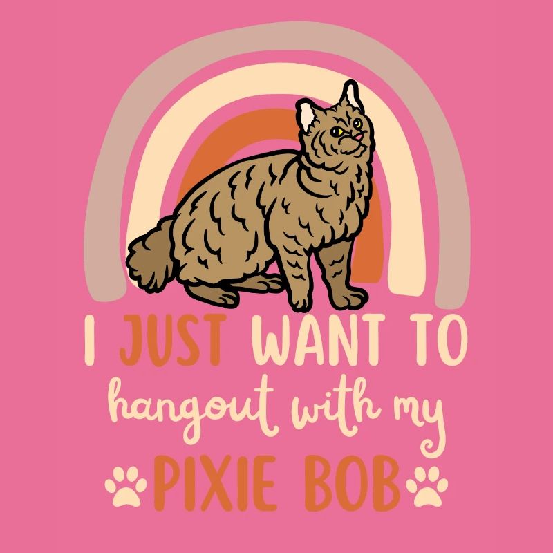 Süße Pixie Bob Katze