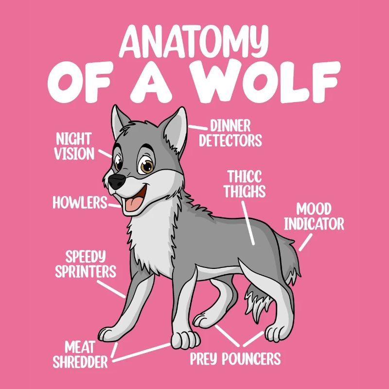 Anatomie eines Wolfes