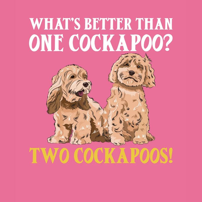 Cockapoo Chien