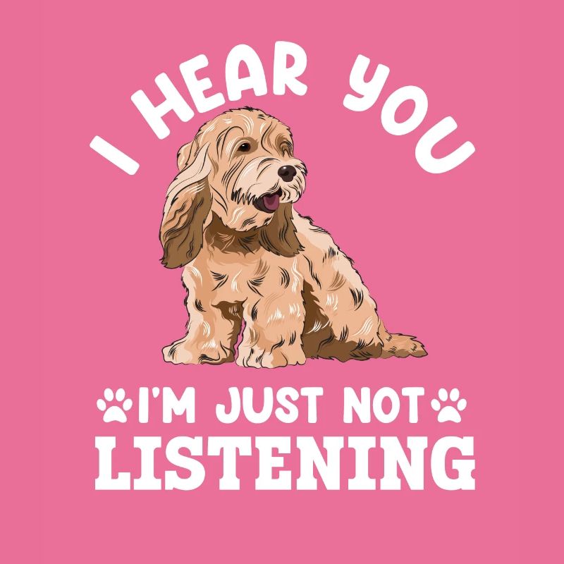 Cockapoo Hund