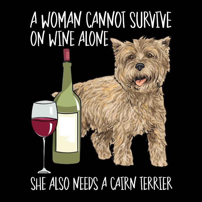 Cairn Terrier Chien