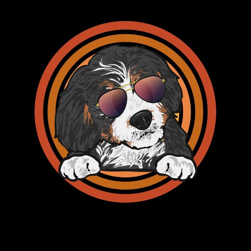 Bernedoodle Hund