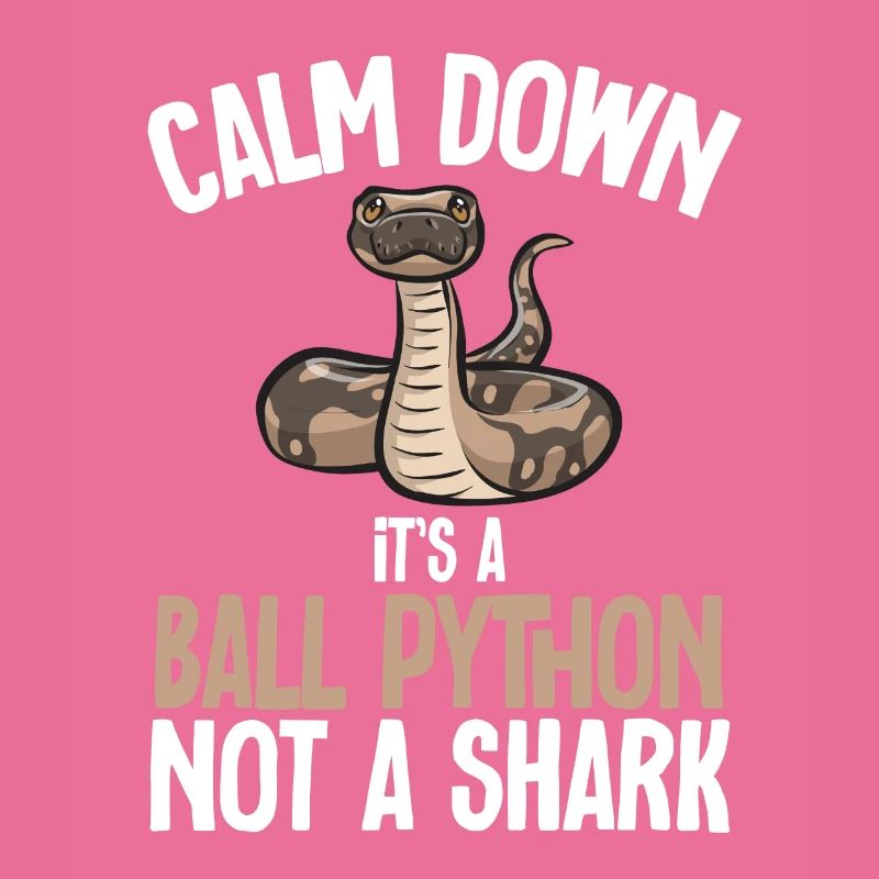 Ball Python Snake King Python