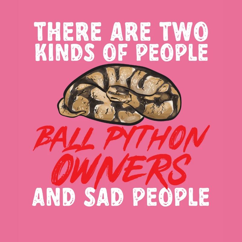 Ball Python Schlange Königspython