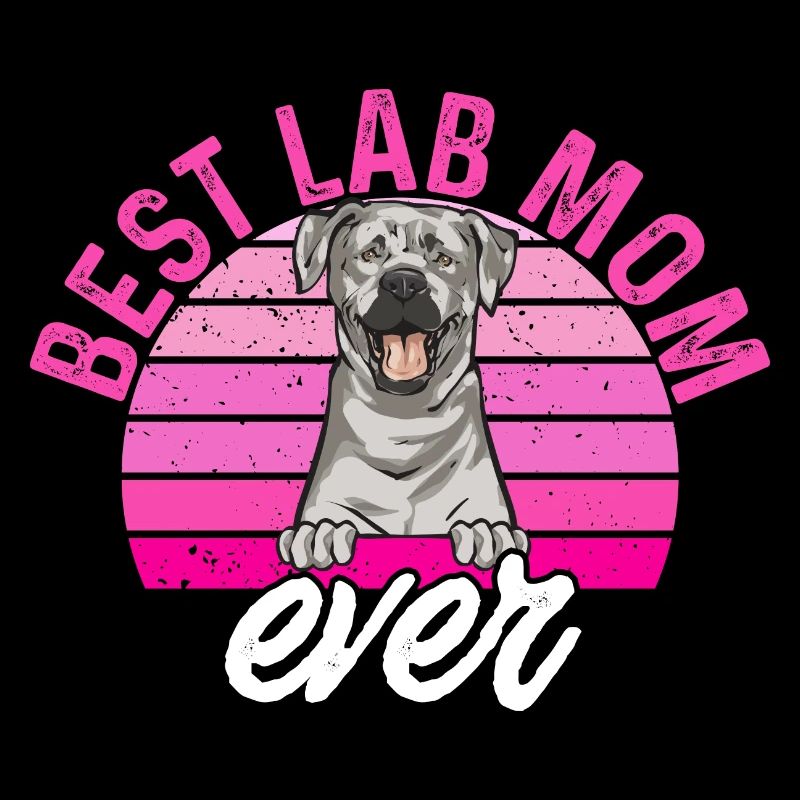 Silver Labrador Retriever Silver Lab