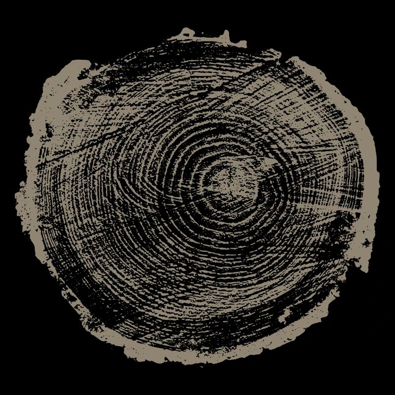 Tree wood annual rings