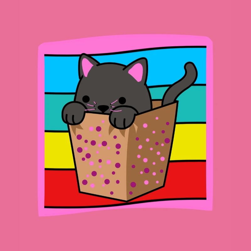 Chat dans une boîte