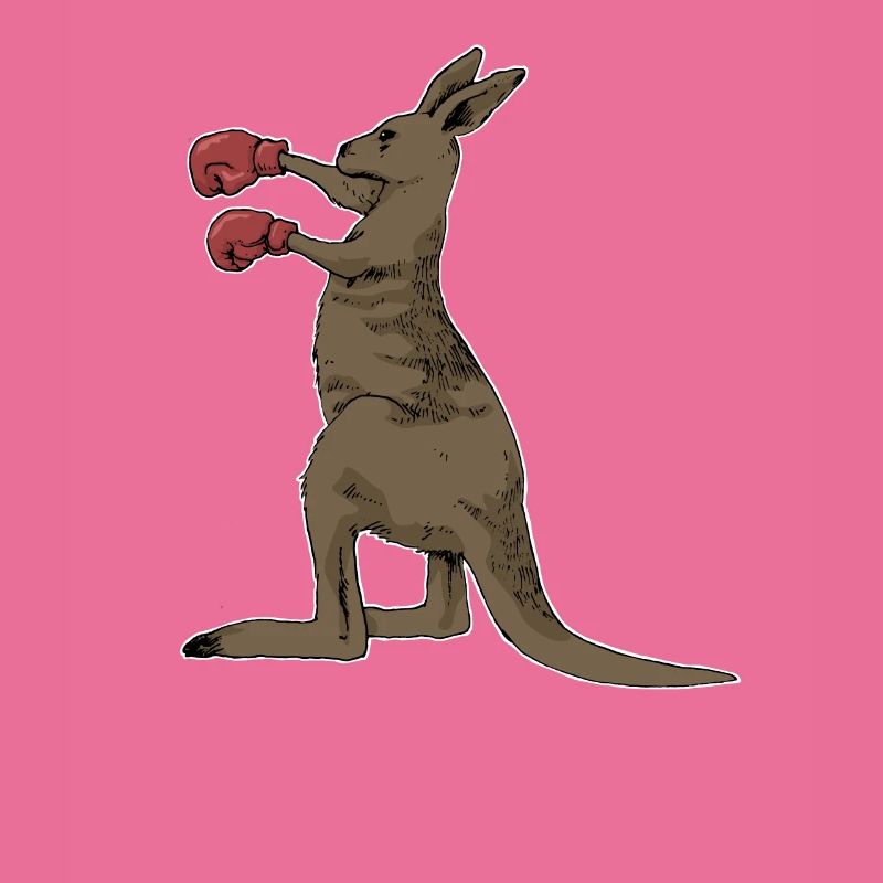Kangaroo boxing