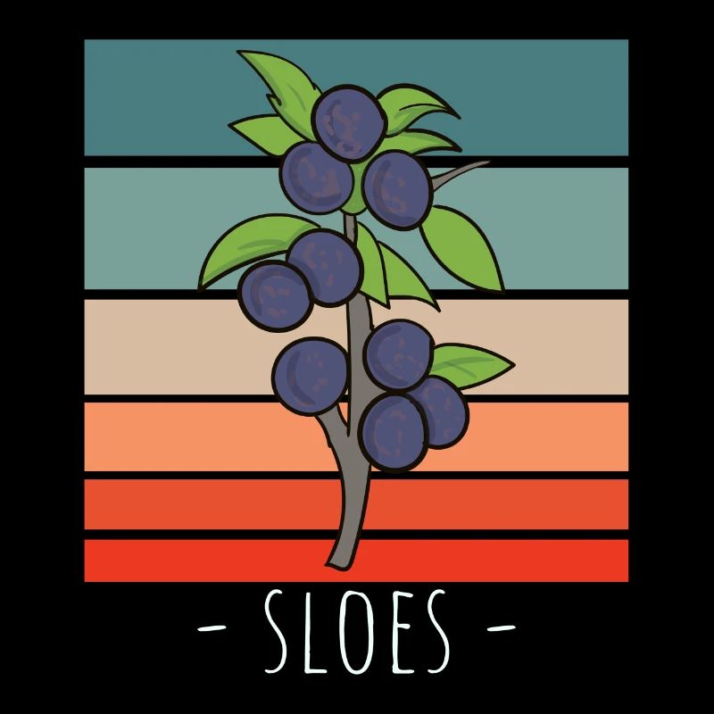 Frucht Schlehen Herbstbeginn