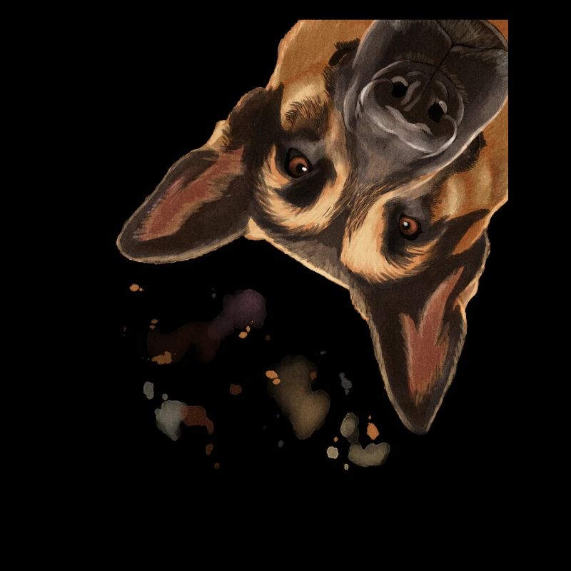 Curious German Shepherd Dog