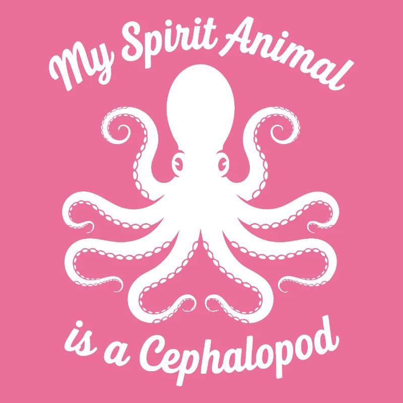Conception des céphalopodes