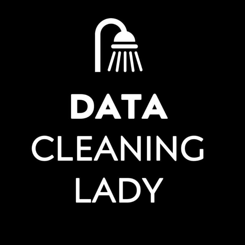 Conceptions de Data Scientist: Data Cleaning Lady