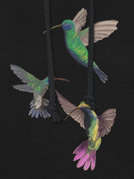 KOLIBRIS