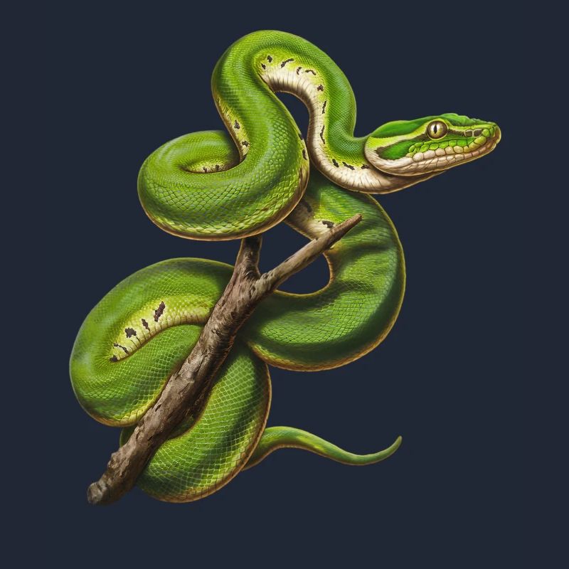 Green Tree Python Snakes Lover Terrarium