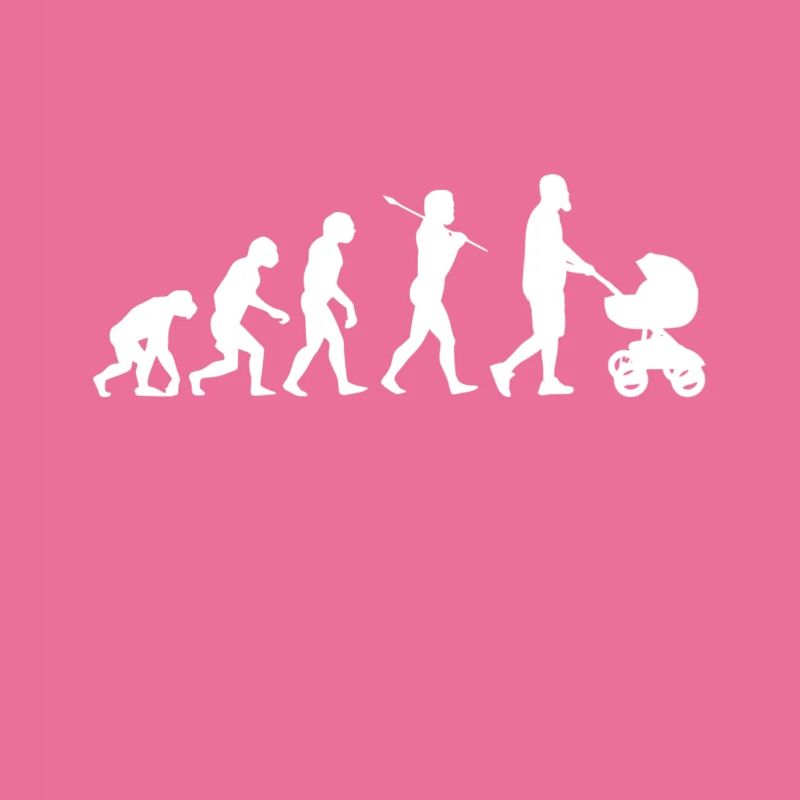 Human evolution