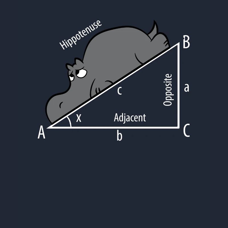 Mathe Pythagoras Hypothenuse Nilpferd Hippo