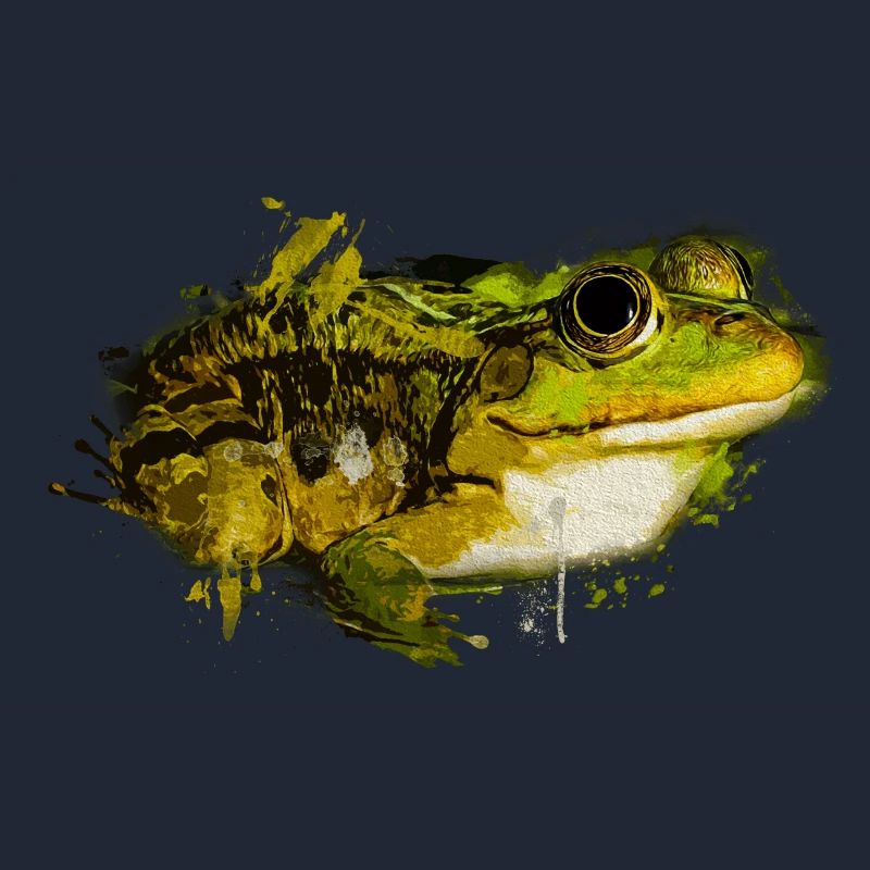 Frogs, Toad, Tree Frog, Frog