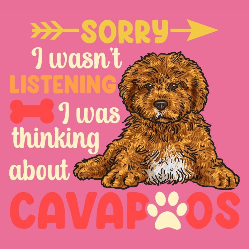 Cavapoo Cavoodle Capoodle Hund