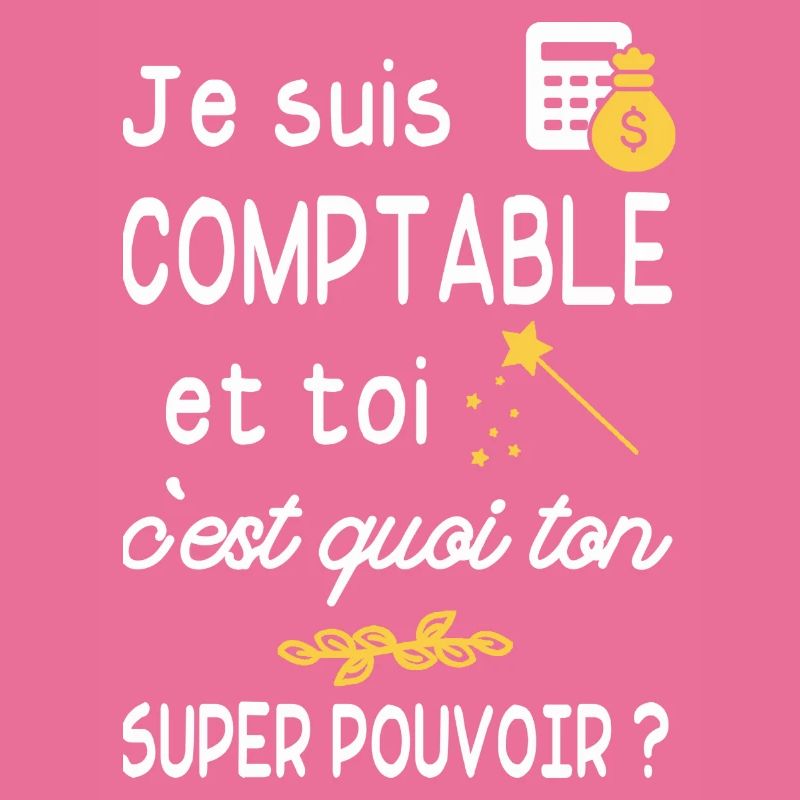 je suis comptable / humour comptable