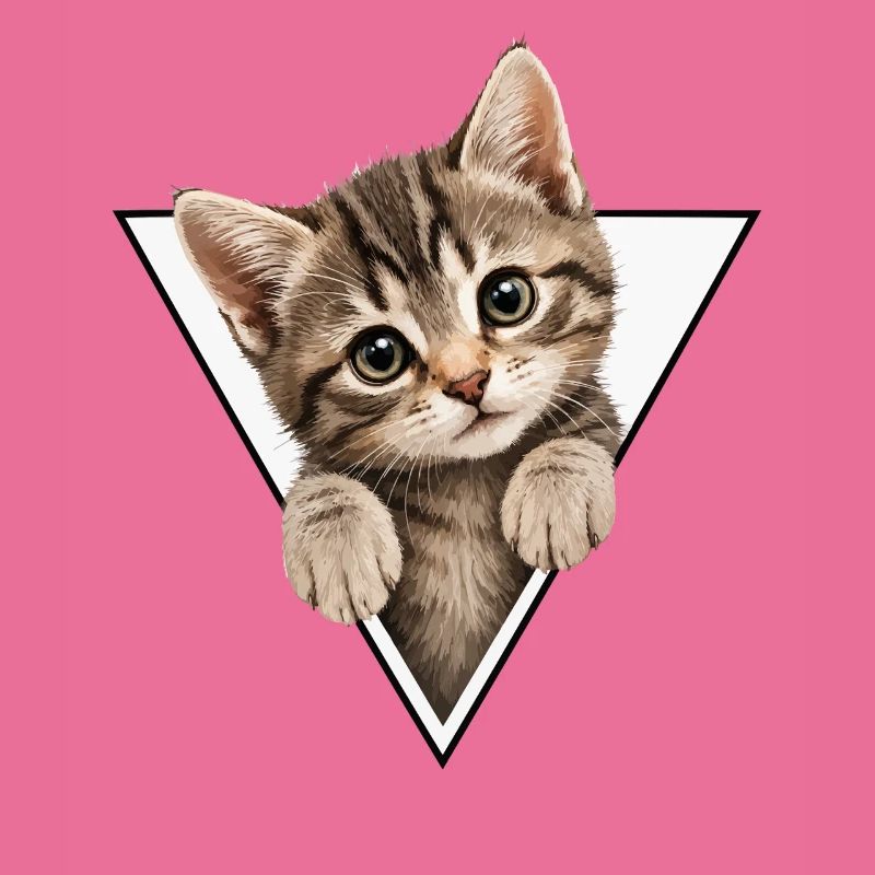 Chaton dans le triangle
