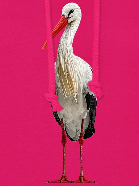 Weissstorch Störche