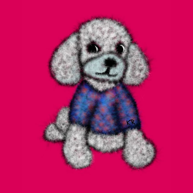 Pudelhund mit Pullover