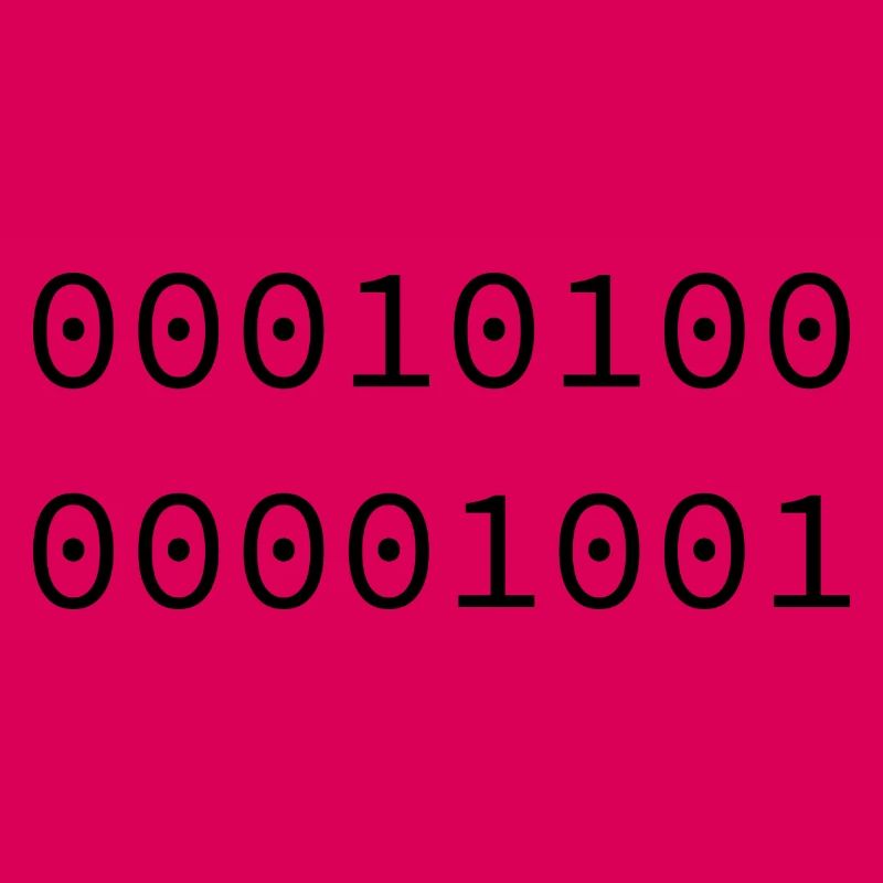 2009 Binary