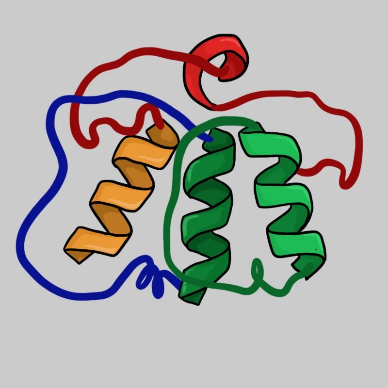 Protein structure