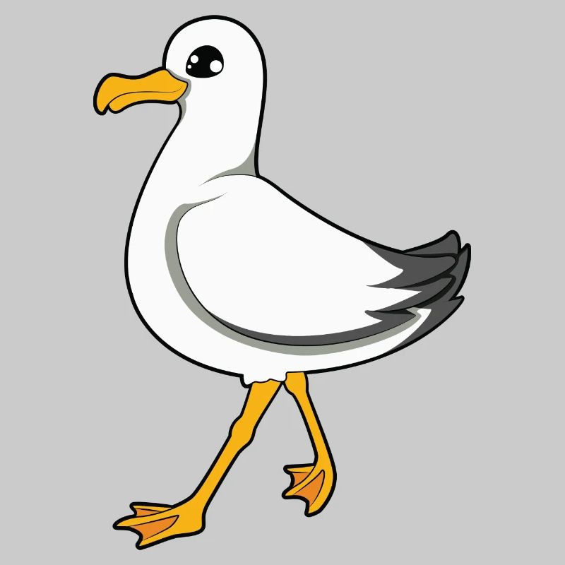 Möwe