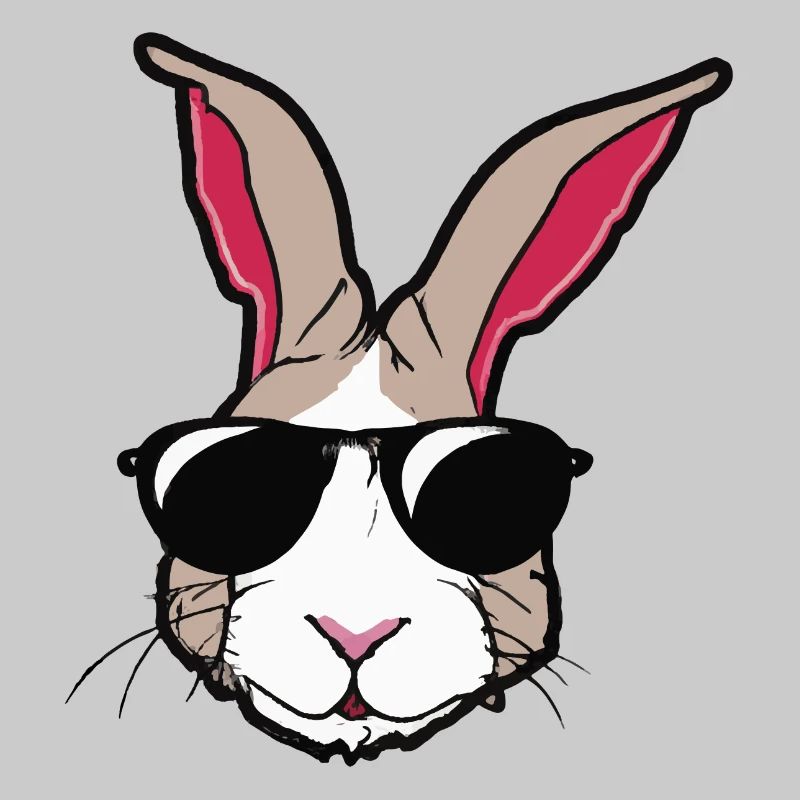 Rabbit with sunglasses Rabbit's head Gift idea