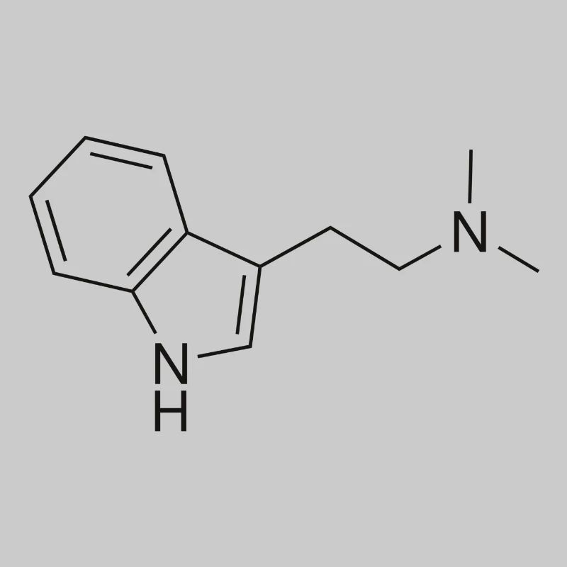 DMT molecule - black