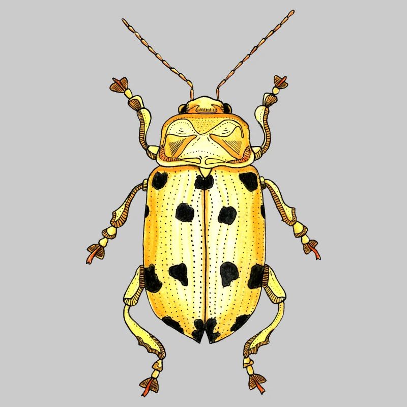 Big Beetle Stag - cerf géant