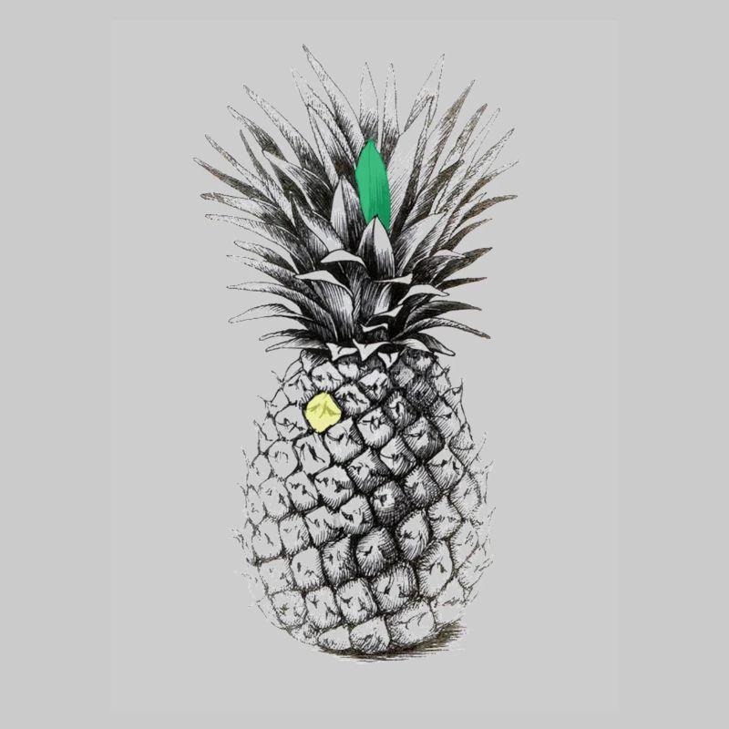 Pineapple