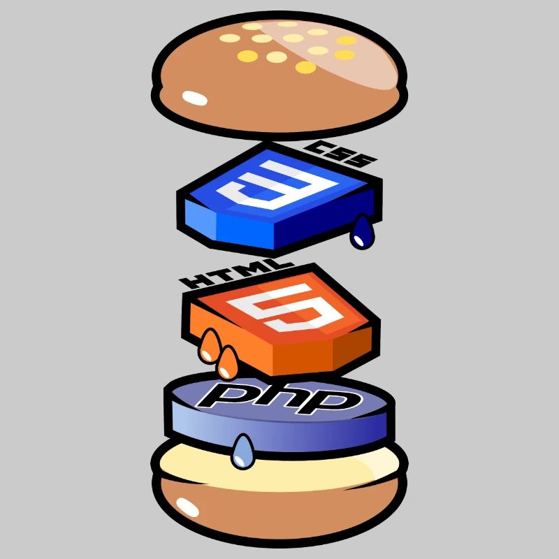 Computer programmer in Html, Css and Php