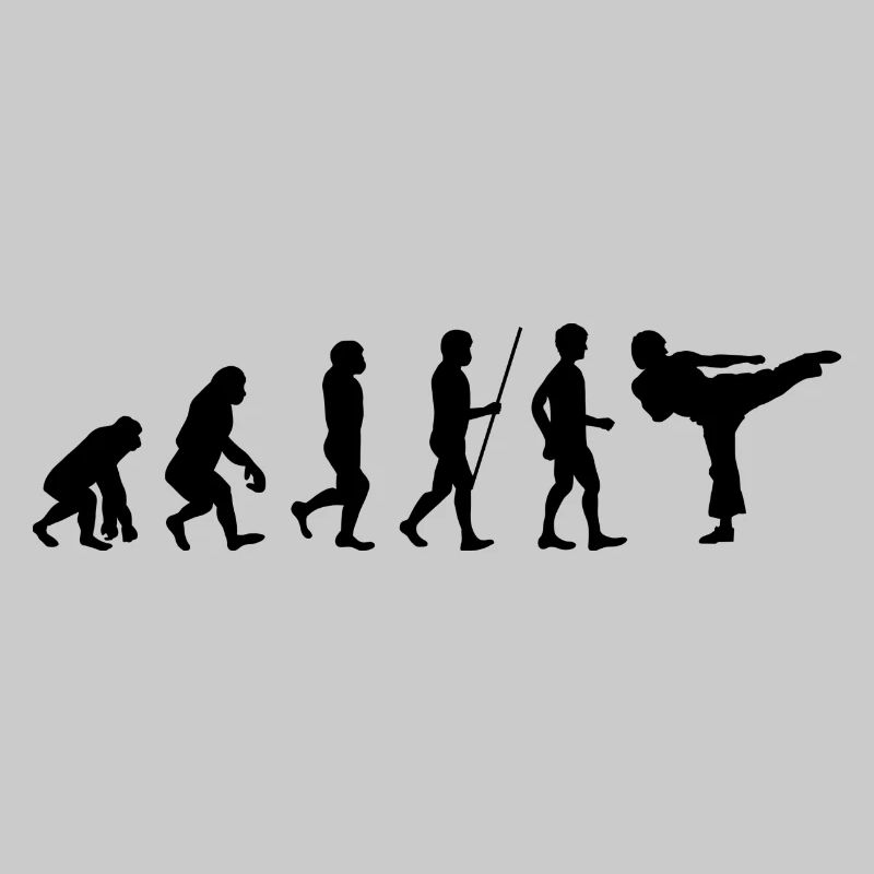 KARATE Evolution Martial Arts Kickboxing Bruce Lee