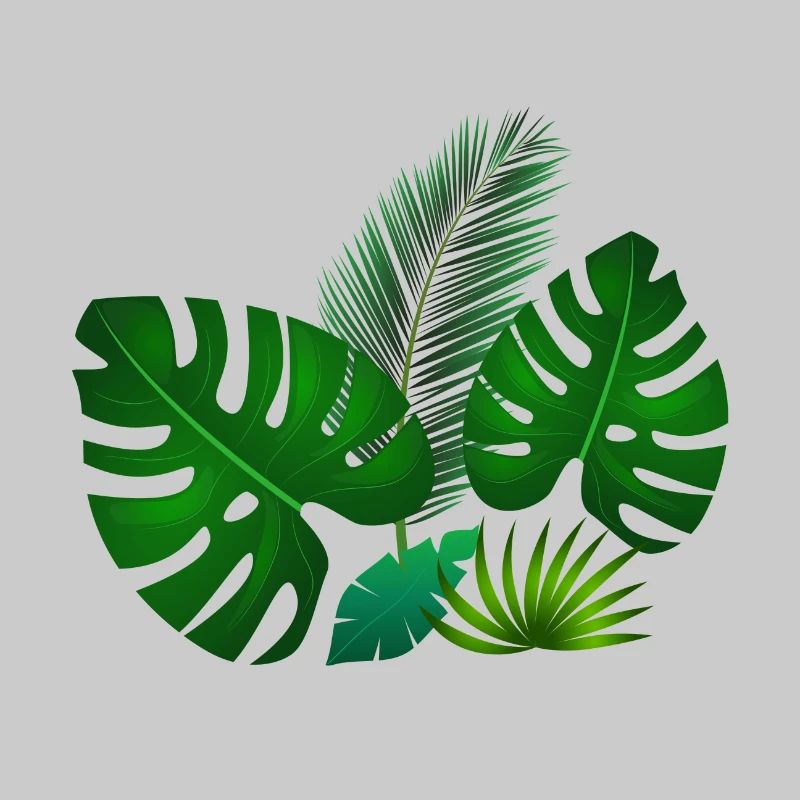 Feuilles tropicales vertes
