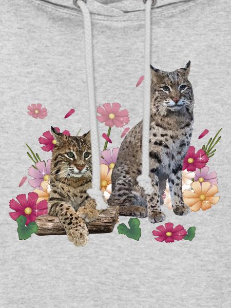 Luchs