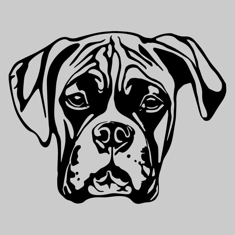 boxer WITHOUT BACKGROUND