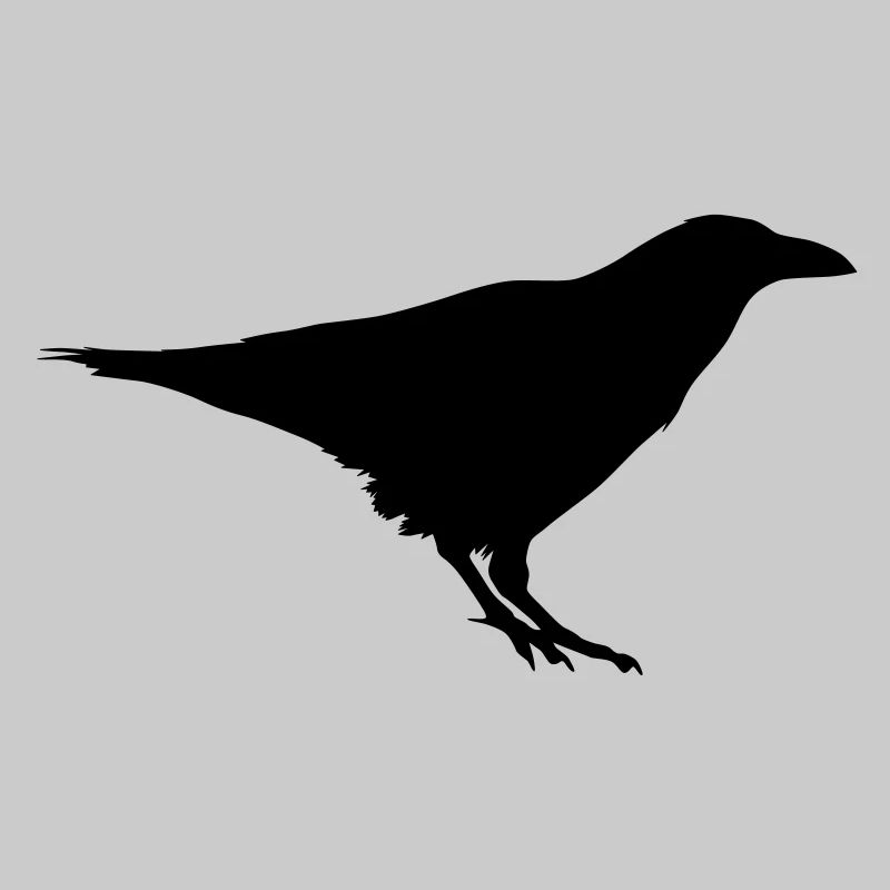 corbeau