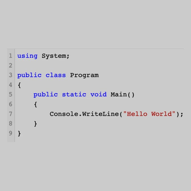 C # .NET Code Hello World Programmer Gift