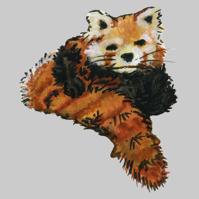 roter panda - roter panda - roter kleiner der rote