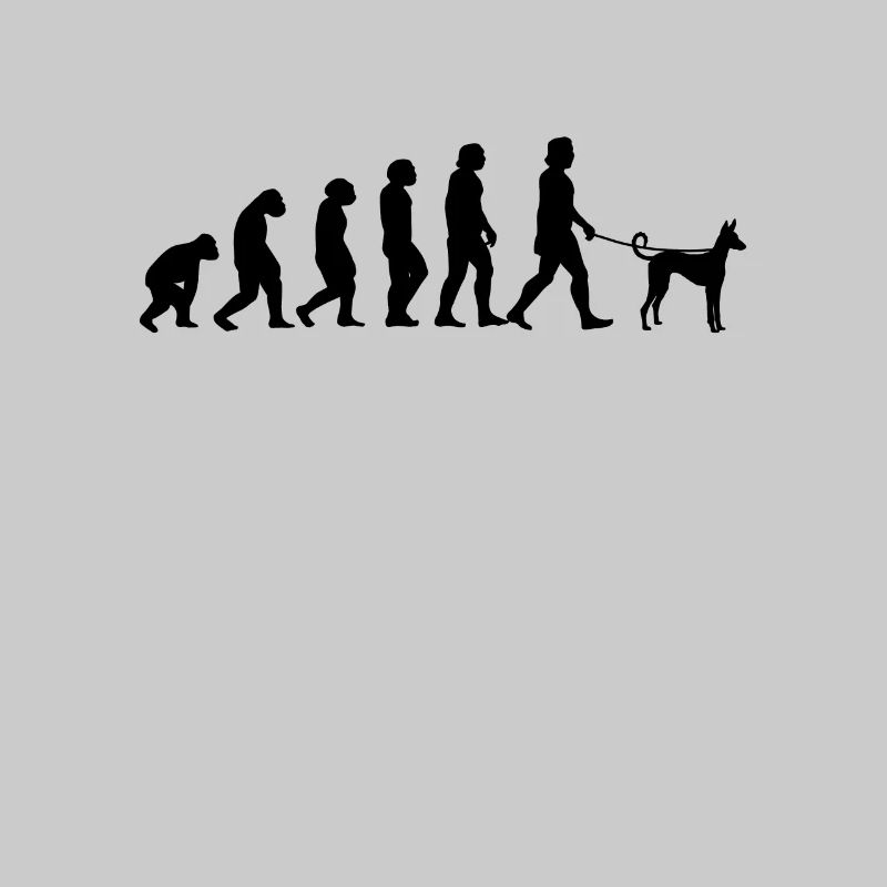 Cadeau de chien espagnol Podenco Evolution