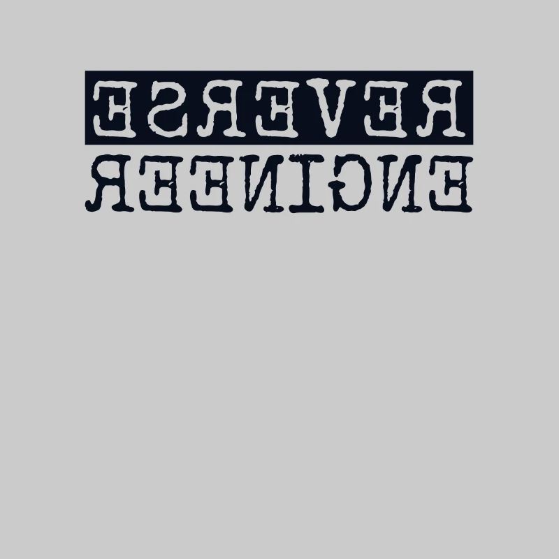Reverse Engineer Softwareingenieur Developer