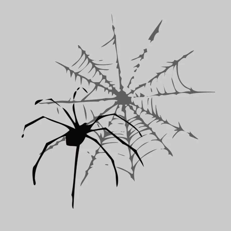 cobweb