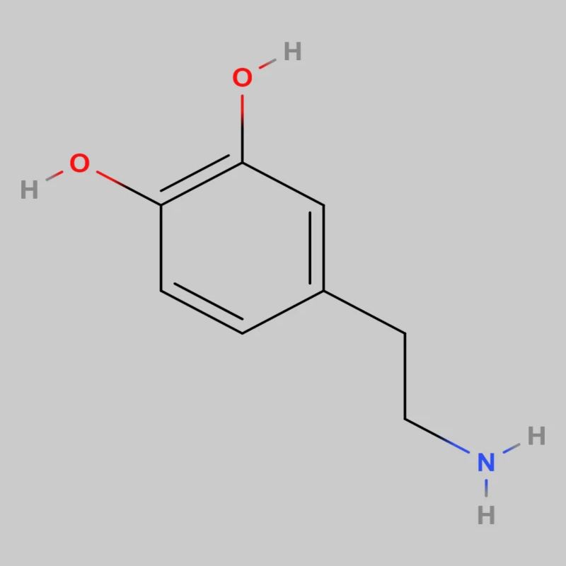 Molécule de dopamine - Formule structurelle colorée